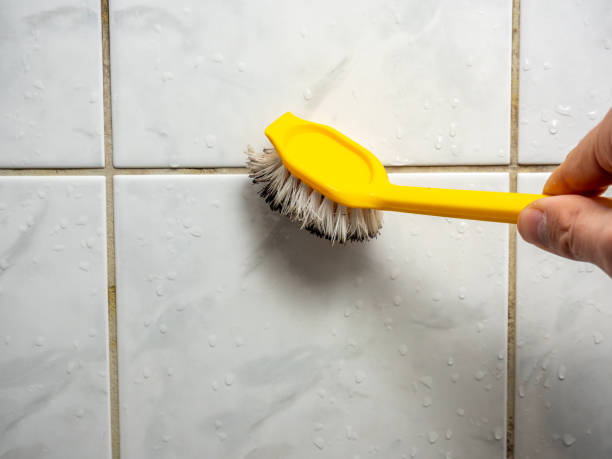 Best Professional Mold Removal  in Quinebaug, CT