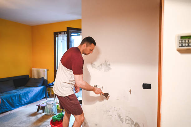 Office Mold Removal Services in Quinebaug, CT
